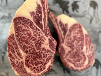 Full Blood Wagyu Steers