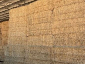 150mt Barley Hay 680kg Bales 8x4x3