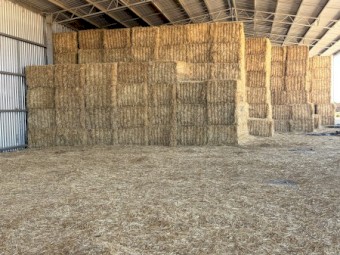 150mt Barley Hay 680kg Bales 8x4x3