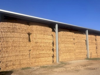 Oaten Hay