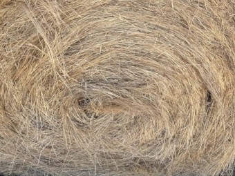 200 x Pasture Hay 5x4 Round Bales