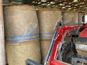 New Season 4^4 Oaten hay