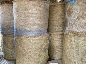 New Season 4^4 Oaten hay