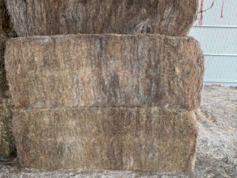Lucerne Hay 8x4x3 Bales
