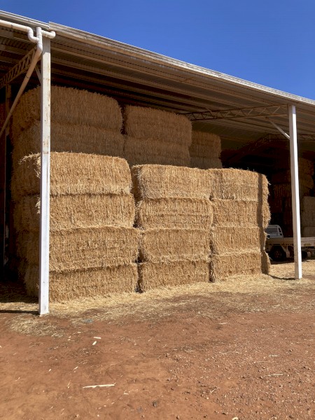 120mt Oaten Straw 550kg 8x4x3 Bales
