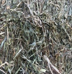 1200mt Oaten Hay 8x4x3 Bales