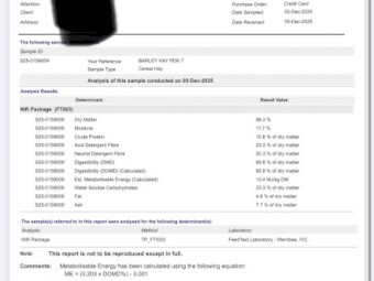 550mt Barley Hay 8x3x4 Bales