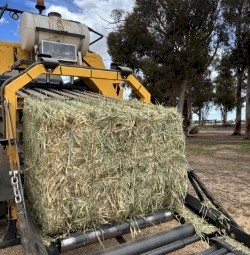 200mt Wheaten Hay 8x3x4 Bales