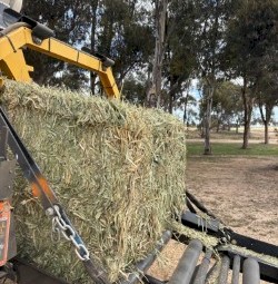 200mt Wheaten Hay 8x3x4 Bales