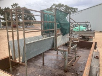 Harrington Sheep Handler