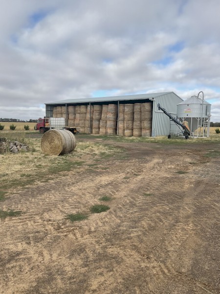 400 x Annual Rye and Clover Hay 5x4 Round Bales