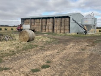 400 x Annual Rye and Clover Hay 5x4 Round Bales
