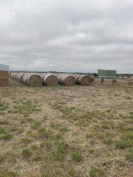400 x Annual Rye and Clover Hay 5x4 Round Bales