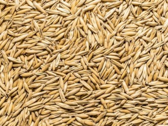 Oats
