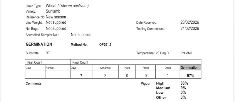 Sunlamb Dual Purpose Seed Wheat
