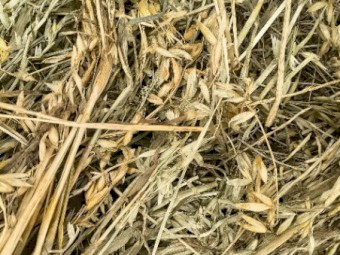 Oaten Hay