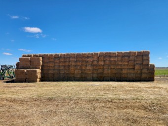 330mt Barley Straw 8x4x3 Bales
