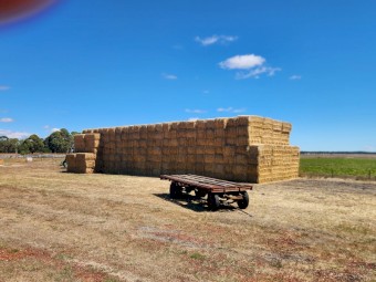 330mt Barley Straw 8x4x3 Bales