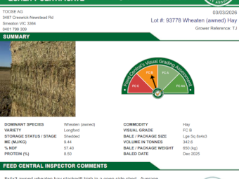 730mt Wheaten Hay 8x4x3 650kg Bales