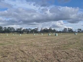 Pasture Grass silage 