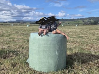 Pasture Grass silage 