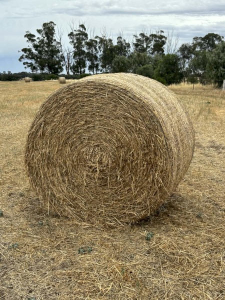 Premium 5x4 Oaten Hay – Bright, Clean Feed – Invergordon VIC – $130/Bale