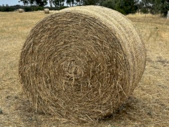 Premium 5x4 Oaten Hay – Bright, Clean Feed – Invergordon VIC – $130/Bale