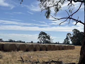 Premium 5x4 Oaten Hay – Bright, Clean Feed – Invergordon VIC – $130/Bale