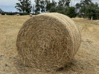 Premium 5x4 Oaten Hay – Bright, Clean Feed – Invergordon VIC – $130/Bale