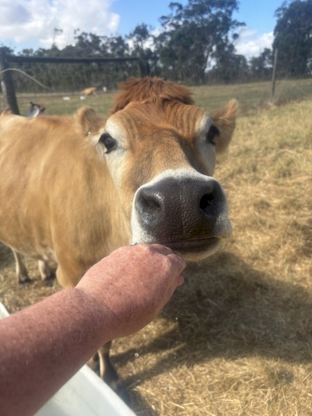 Share farm or lease farm wanted