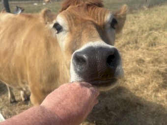 Share farm or lease farm wanted