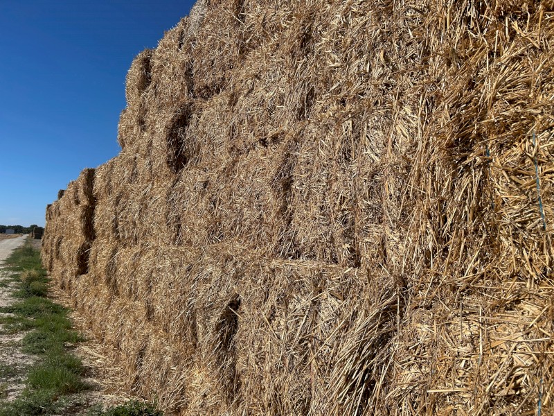 1100mt Oaten Hay 500kg 8x4x3 Bales