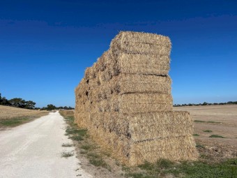 1100mt Oaten Hay 500kg 8x4x3 Bales