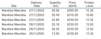 10T Brighton  Dual Purpose Wheat Seed