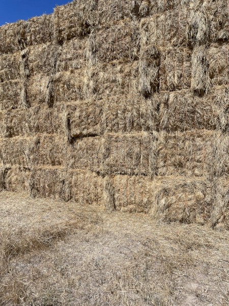 2025 Clover/Rye Hay 8x4x3 Bales