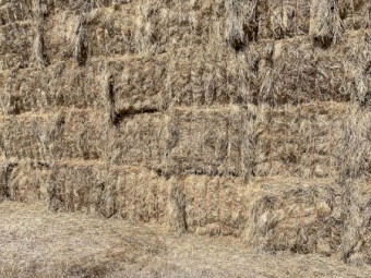 2025 Clover/Rye Hay 8x4x3 Bales