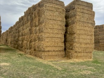 350mt Barley Straw 8x4x3 Bales