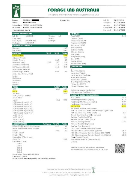 200 x Italian Ryegrass/Arrowleaf Clover Hay 5x4 Round Bales