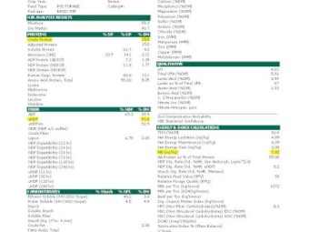 45 x Italian Ryegrass/Arrowleaf Clover Hay 4x4 Round Bales