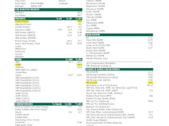 200 x Italian Ryegrass/Clover Silage 4x4 Round Bales