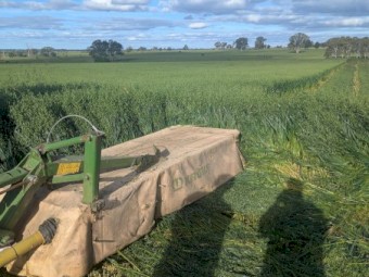 Oaten Hay 5 x 4 Rounds. 2025 season