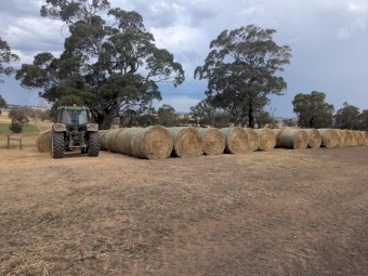 Oaten Hay 5 x 4 Rounds. 2025 season