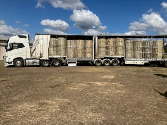 New Season Bluegrass Pasture hay  4x4 Free Shipping in some areas