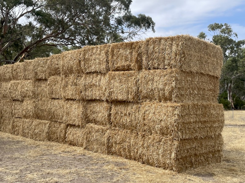 70mt Oaten Straw 8x4x3 Bales
