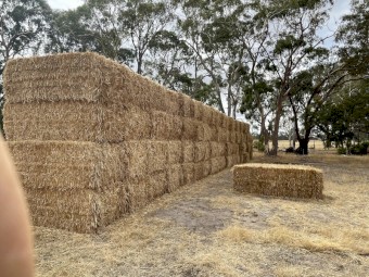 70mt Oaten Straw 8x4x3 Bales