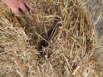 70mt Oaten Straw 8x4x3 Bales