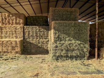 3500 x Lucerne Hay Small Squares