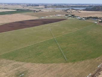 Silage Round Bales Ryegrass