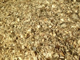 Fine chopped Corn silage