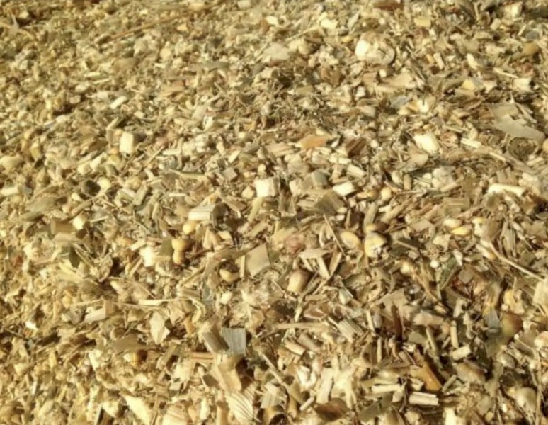 Fine chopped corn silage